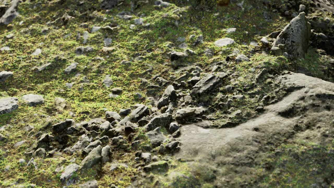 Natural textures reveal life on a rugged terrain in a serene environment