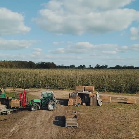 apple orchards view from above