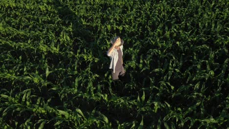 drone rotating around corn farmer in field