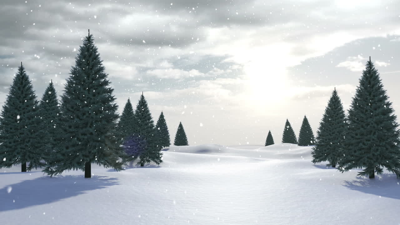 Snow falling on fir tree forest