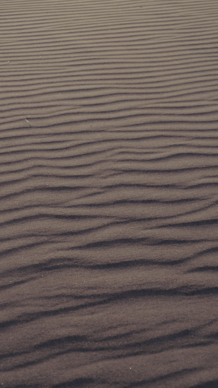 Wind-sculpted Sand Dunes