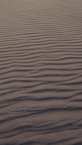 wind-sculpted sand dunes
