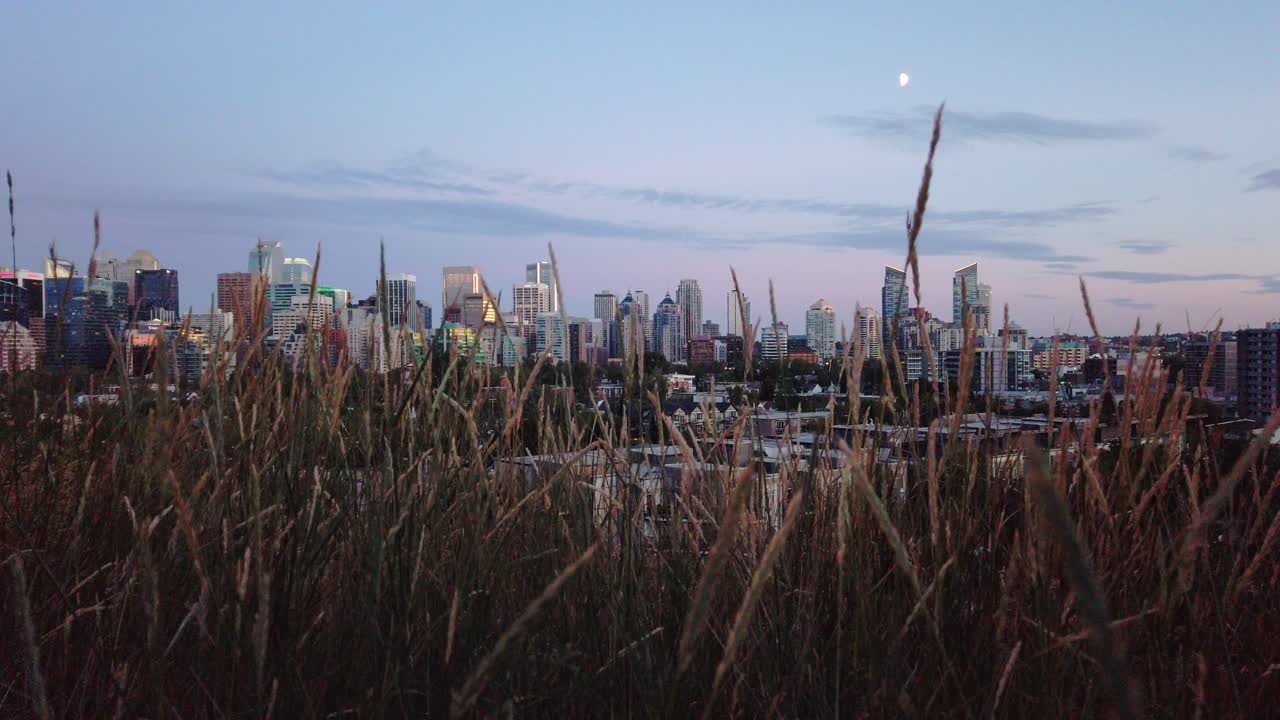 저녁 캘거리 앨버타 캐나다에 달이 있는 잔디와 스카이라인