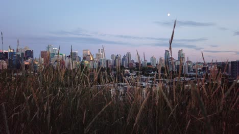 Skyline-Mit-Gras-Mit-Mond-Am-Abend-Calgary-Alberta-Kanada