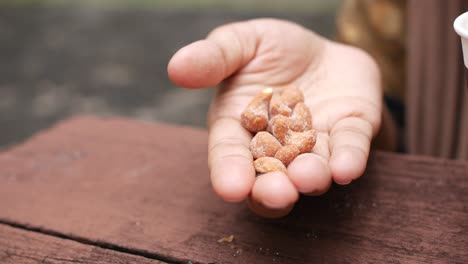 handful of cashews