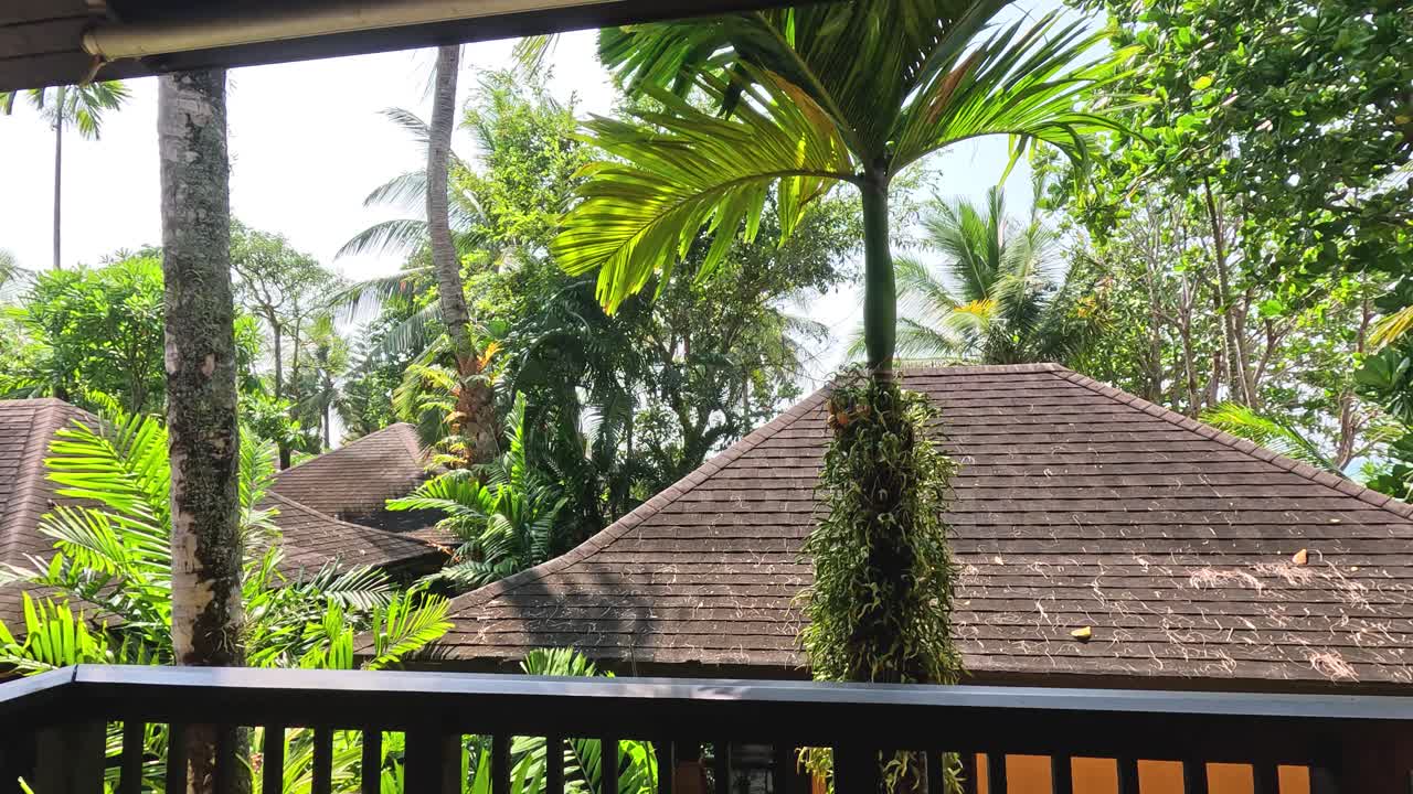 el pájaro aterriza y deja la barandilla del balcón