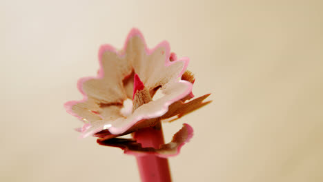 close-up of pink colored pencil with shavings