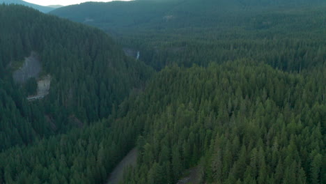 Aerial-shot-over-thick-pine-forest-towards-Salt-Creek-waterfall-Oregon