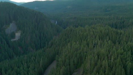 aerial shot over thick pine forest towards salt creek waterfall oregon