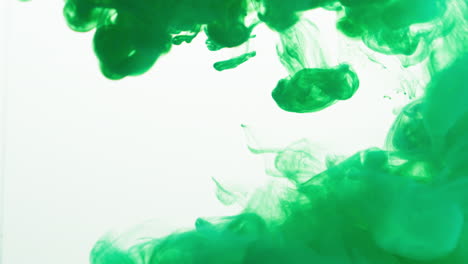 pintura o tinte verde caído en agua contra un fondo blanco para crear un fondo de humo de colores giratorios 5