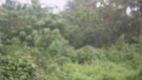 Gotas-De-Lluvia-Cayendo-Lentamente-Desde-El-Cielo-En-La-Selva-India