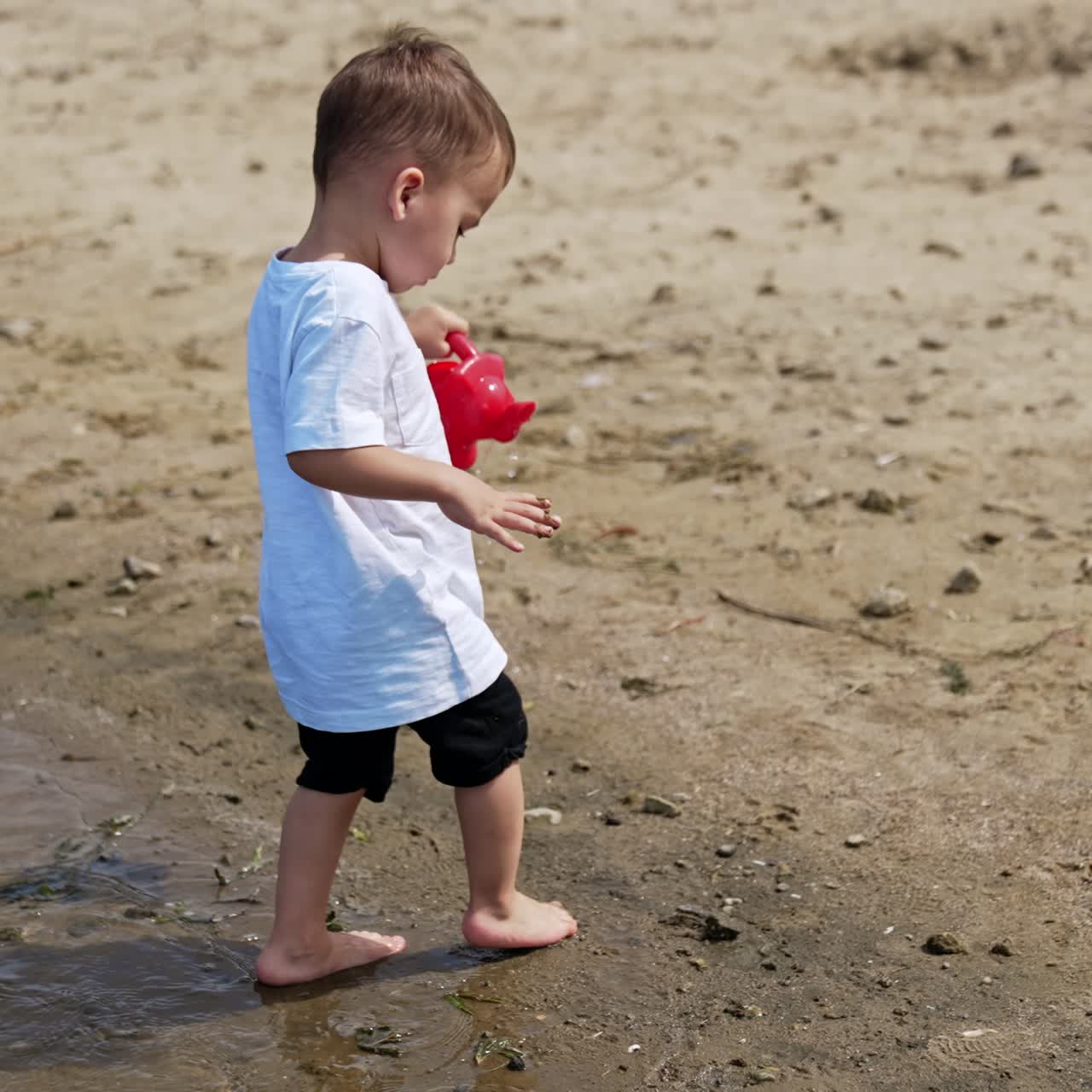 Cute toddler picks up some water with his red watering can. Little baby carries funnel carefully to his bucket on the beach