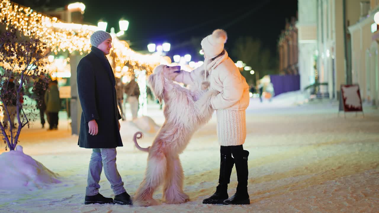 Couple playing with dog at winter night market