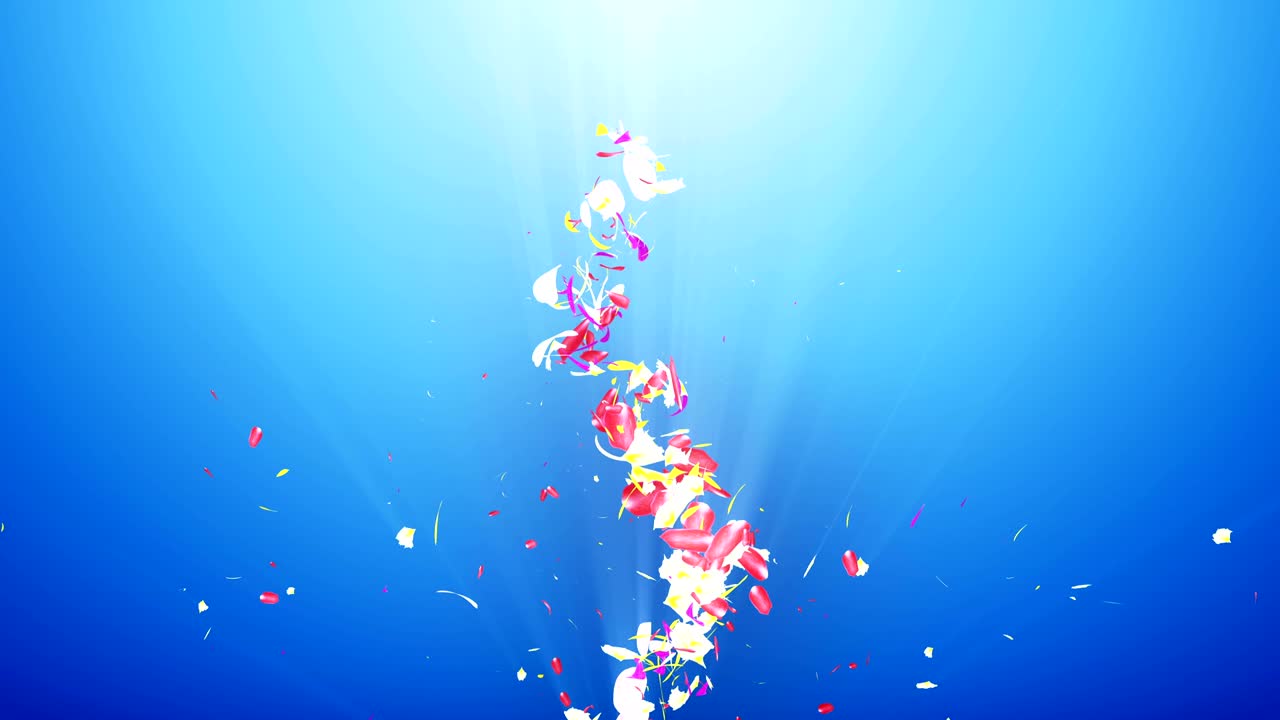 화려한 잎자루, 나선형 반이는 꽃잎, 꽃 모양, 예쁜 춤추는 꽃잎, 회전하는 꽃잎에서 소용돌이, 추상적인 루프 애니메이션.