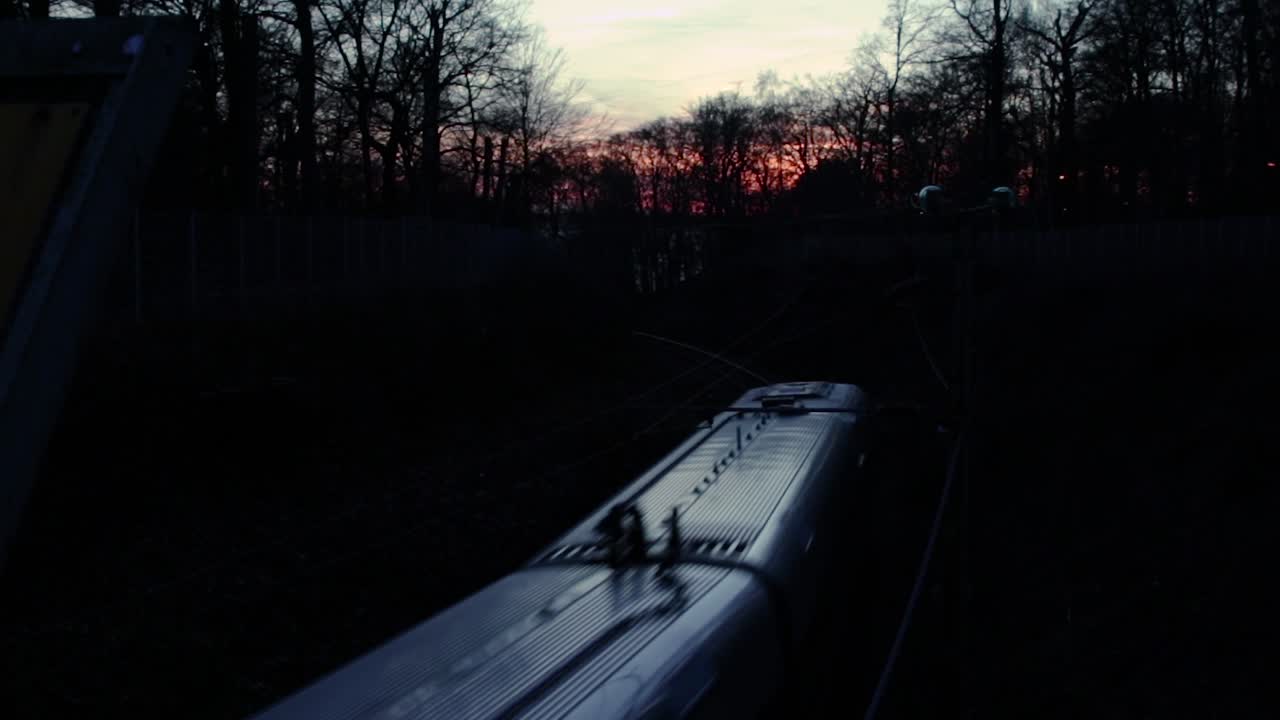 tren que pasa por la reserva "pålsjö skog" en helsingborg, suecia durante una puesta de sol tardía en otoño