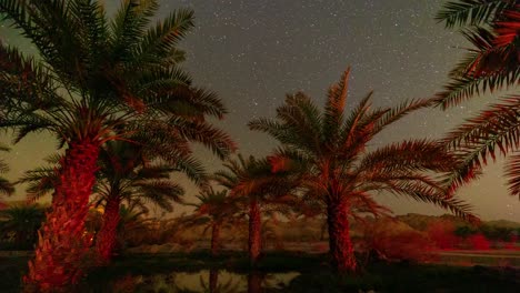 El-Movimiento-De-Las-Estrellas-Sobre-El-Palmeral-En-El-Sureste-De-Irán,-Baluchistán