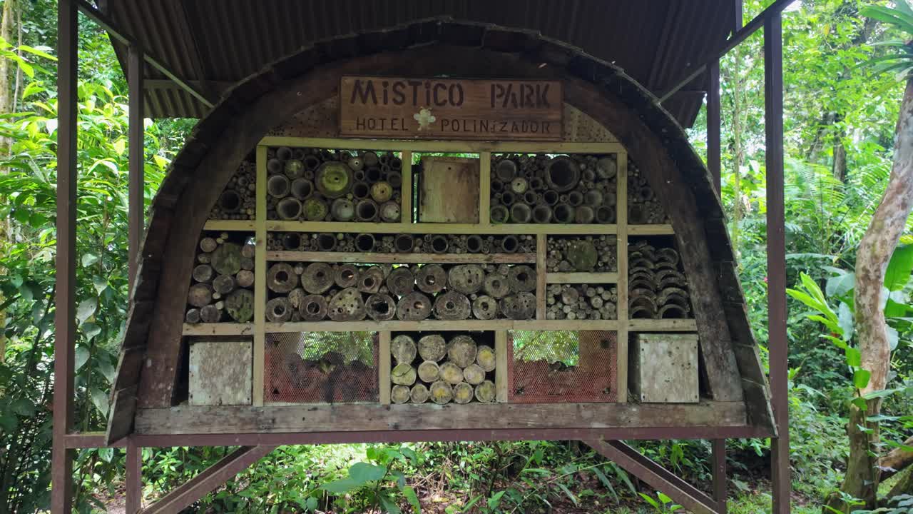 Slow-motion of various insects flying around a wooden pollinator hotel in the Mistico Park, Costa Rica