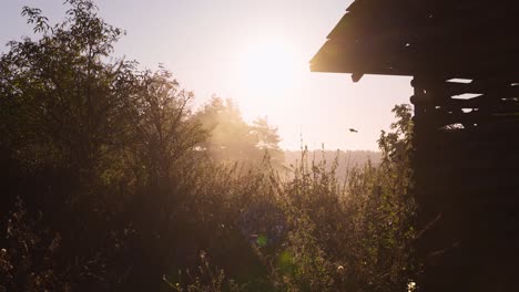 Wooden-bird-watching-cabin-in-an-idyllic-setting-at-sunrise-while-birds-fly-overhead