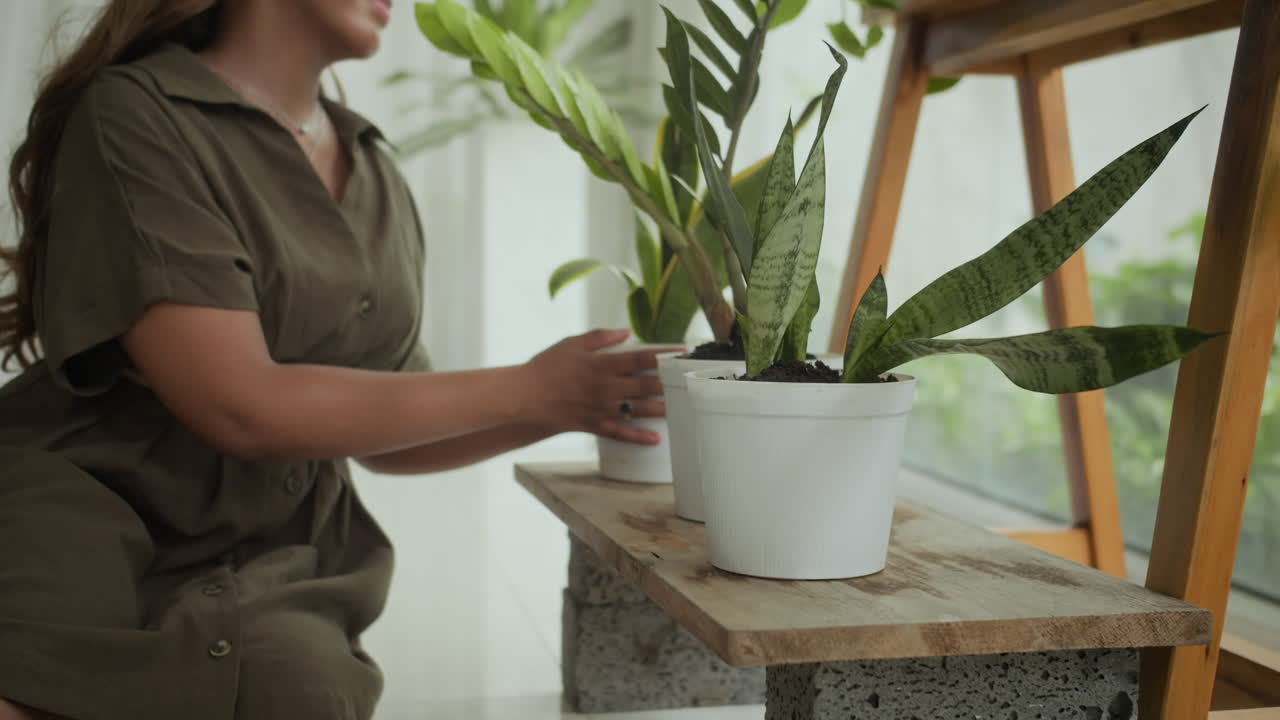 Woman Placing Potted Houseplants on Wooden Shelf at Home