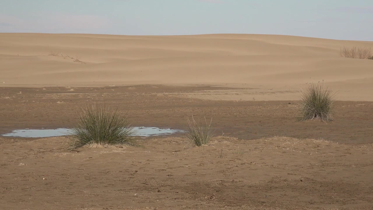 Piccola pozza d'acqua in un paesaggio desertico con dune di sabbia