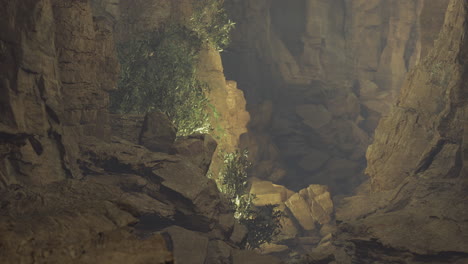 rocky canyon with lush greenery and soft light during daytime