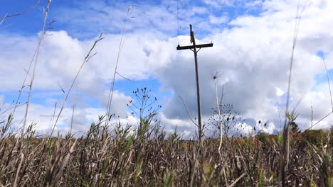 líneas telefónicas y cielo en otoño