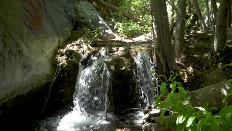 pequeña cascada sobre el tronco en soldier creek, bosque nacional de ángeles a cámara lenta