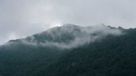 rainforest and low lying clouds in nepal, elevated aerial shot from above of cloud over misty forest in himalayas mountains in nepal