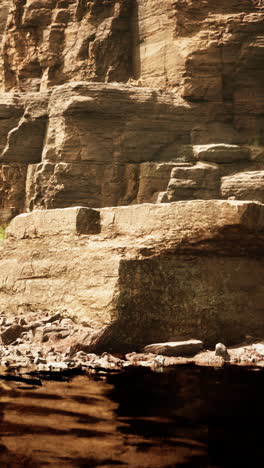 rocky riverbank landscape