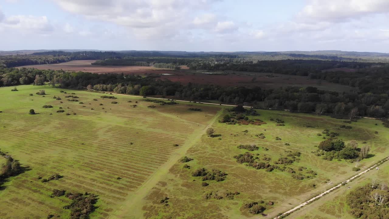 Aerial view of the beautiful landscape of the New Forest National Park in southern England, showcasing its vast greenery and unique terrain. pedestal down