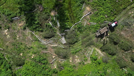 Aerial View of Tractor Harvesting Logs in a Forest