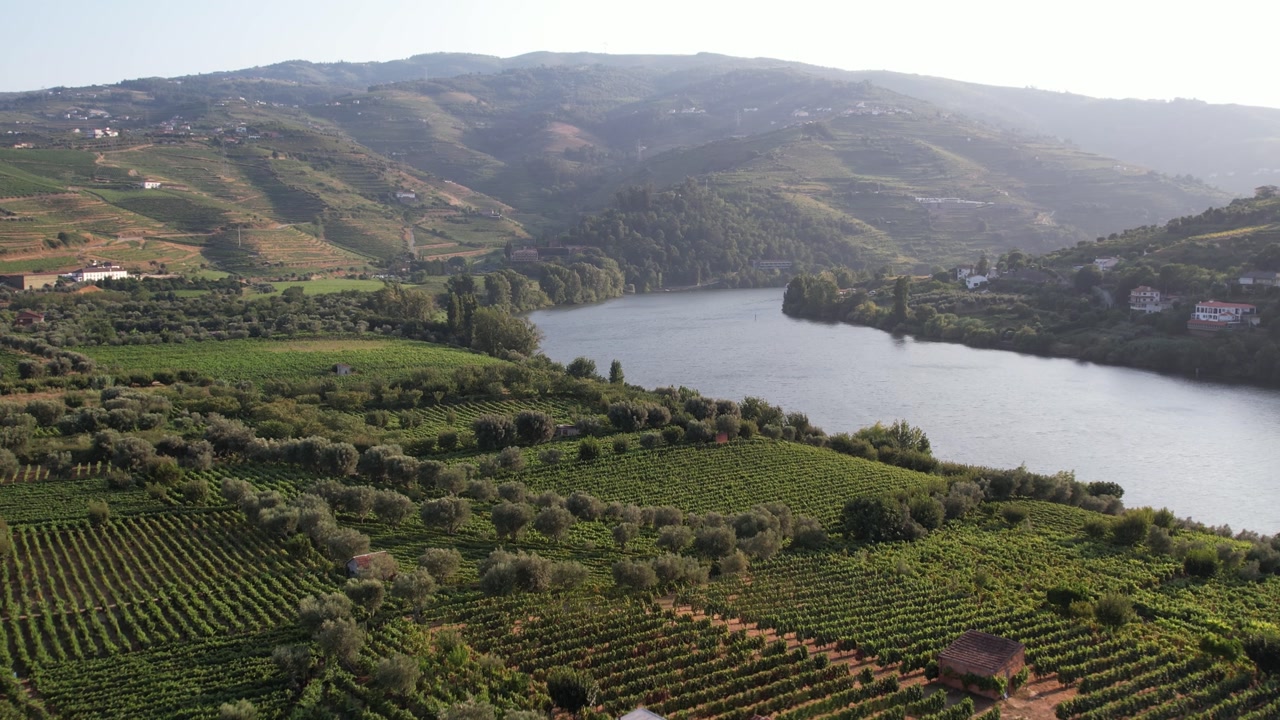 Aerial - Douro Valley Portugal with vineyards, farmhouses and the river at sunset