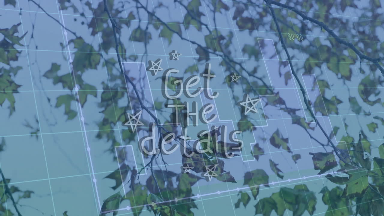 Star graphics and geometric lines over leafy branches, creating animation design