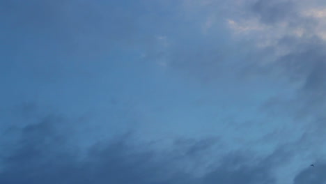 pájaro volando en el cielo oscuro. nubes grises oscuras en el cielo y pájaro en las nubes.