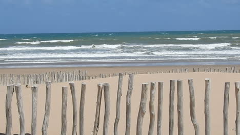 natural and wild beach with a beautiful and vast area of dunes protected with rows and line wooden