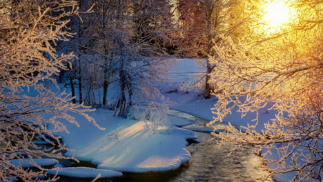 animated background of winter landscape in the woods, colorful forest atmosphere, small river is flowing while sunshine is breaking through tree branches