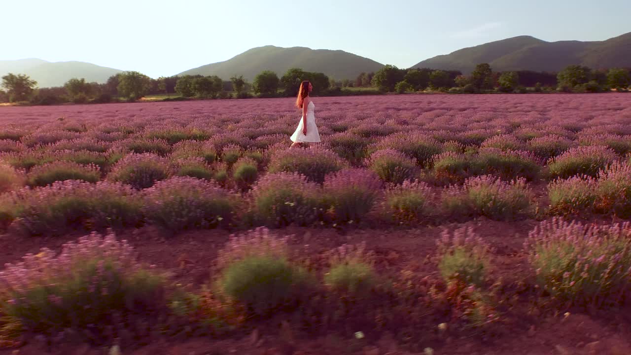 mujer con vestido blanco caminando por un campo de lavanda al atardecer