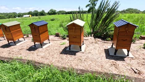 sequential opening and checking of beehives