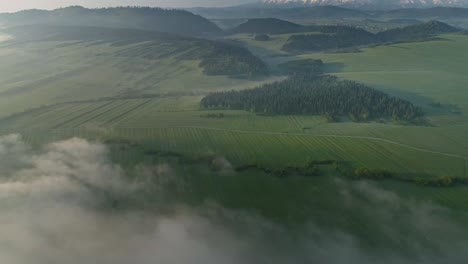 Vista-Panorámica-Aérea-Del-Campo-Envuelto-En-Niebla.