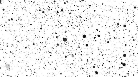 abstract white background with moving black and gray particles of different sizes. background with dark blurred boke circles