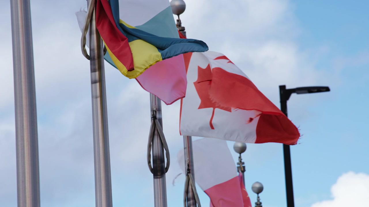 International flags waving in the wind