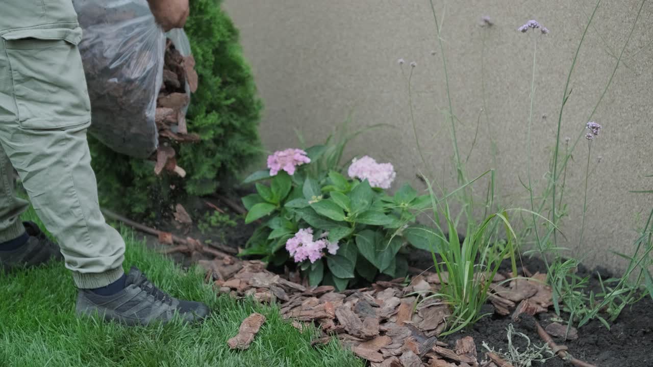 un jardinero se inclina para plantar flores en un jardín bien cuidado, rodeado de hierba verde, arbustos y cercas de madera. se centra en el jardín al aire libre y el trabajo de jardinería