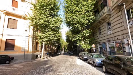 a quiet, tree-lined street in naples