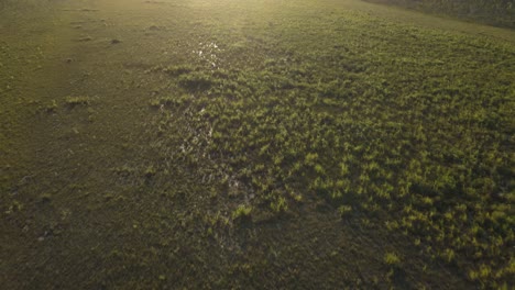 Clip-Aéreo-De-Matorrales-En-El-Remoto-Interior-De-Australia,-Al-Final-De-La-Tarde