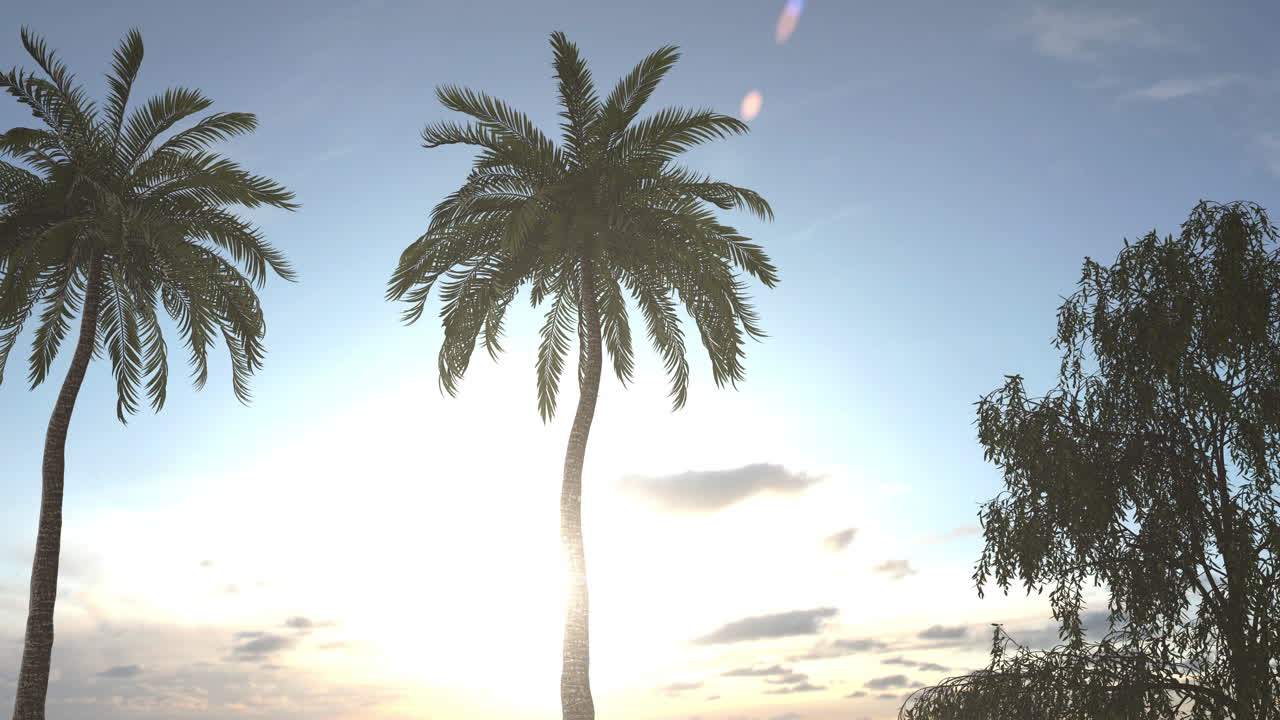 Palm trees and a missile in the sky