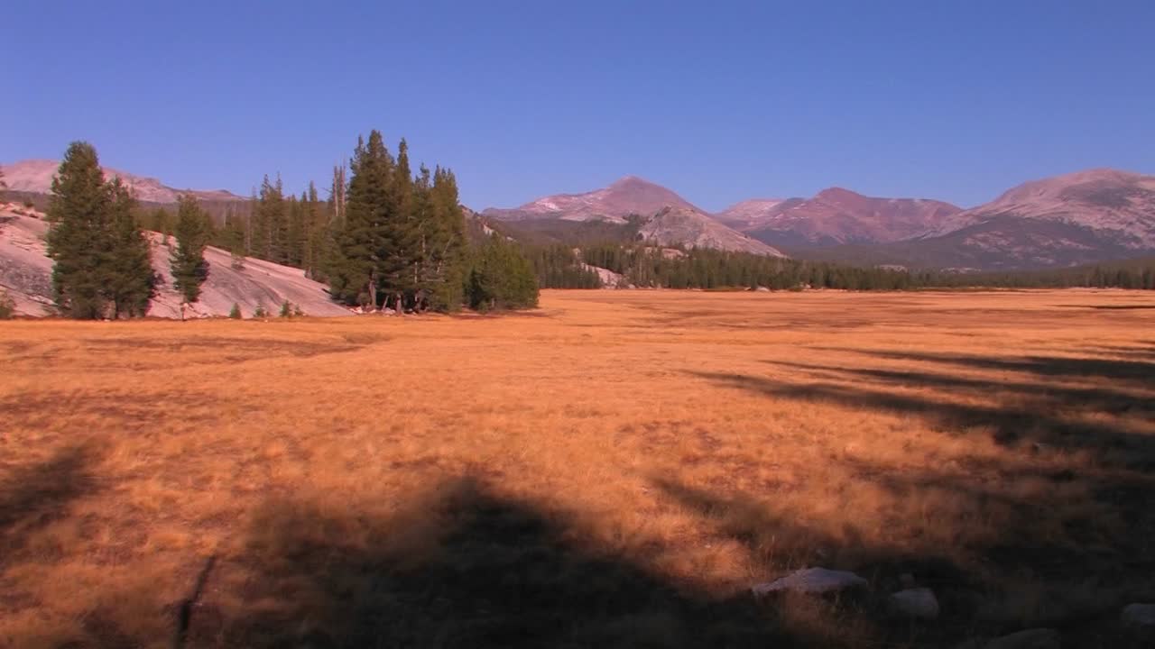 los prados de tuolumne se extienden hacia las montañas en el parque nacional de yosemite