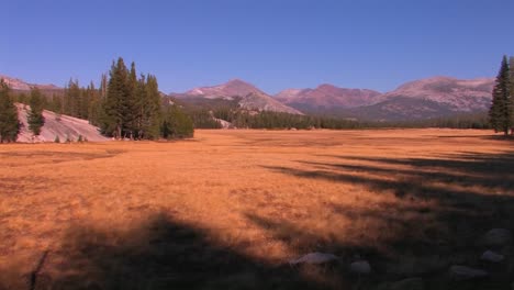 tuolumne meadows extends towards the mountains at yosemite national park