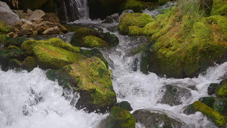 gushing water of a river over big rocks covered with moss