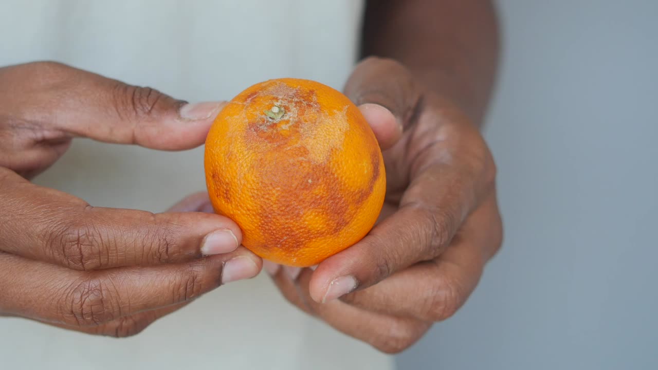 Close-up of an orange held in someone's hands