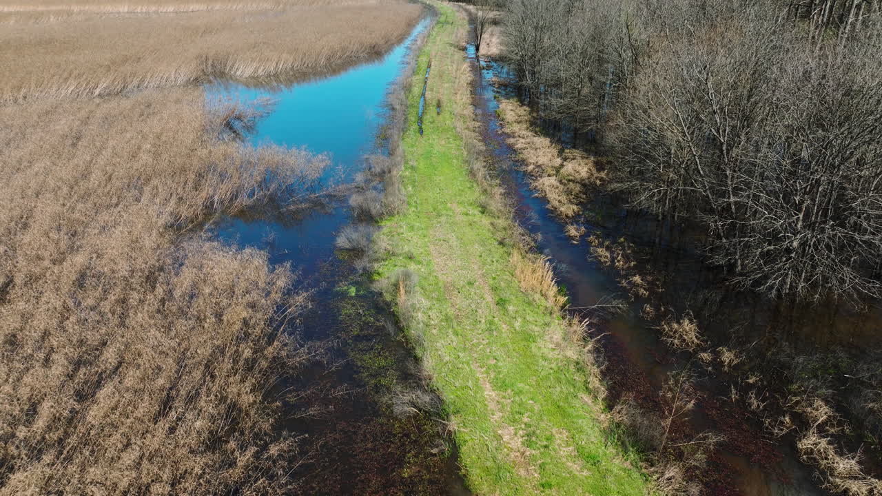Sentiero erboso attraverso la torbiera nell'area di gestione della fauna selvatica di Bell Slough vicino a Mayflower in Arkansas